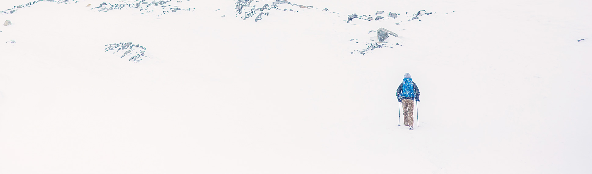 WOE Banner